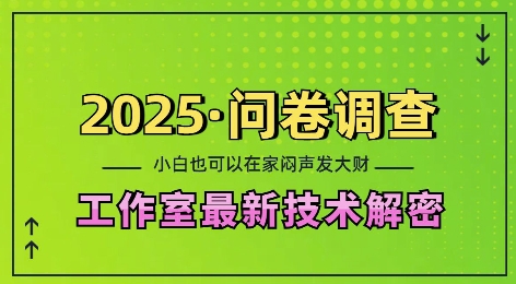 2025问卷调查最新工作室技术解密：一个人在家也可以闷声发大财，小白一天2张，可矩阵放大【揭秘】-梦凌网创