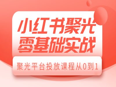 小红书聚光零基础实战，聚光平台投放课程从0到1-梦凌网创