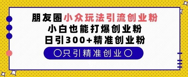 朋友圈小众玩法引流创业粉，小白也能打爆创业粉，日引300+精准创业粉【揭秘】-梦凌网创