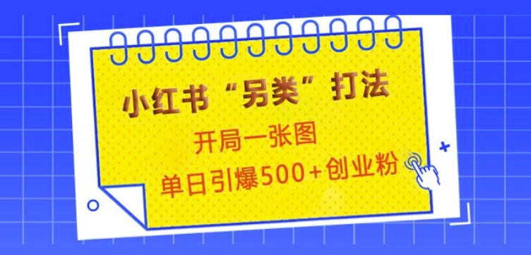 小红书“另类”打法，开局一张图，单日引爆500+精准创业粉【揭秘】-梦凌网创