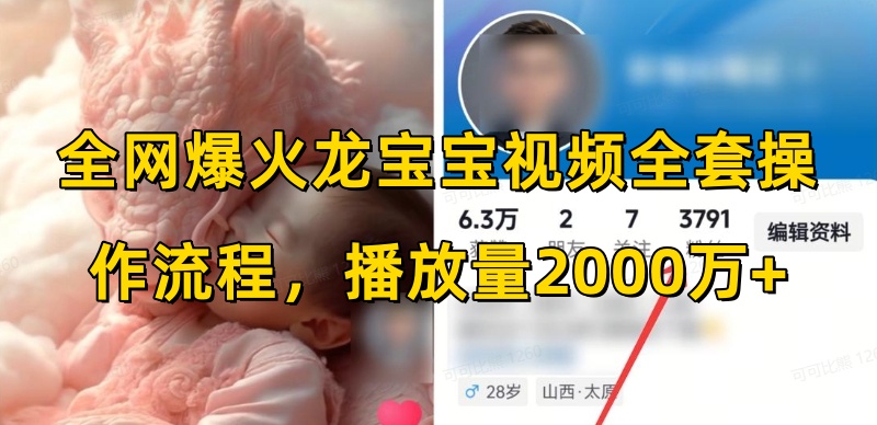 全网爆火龙宝宝视频全套操作流程，播放量2000万+-梦凌网创