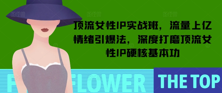 顶流女性IP实战班，流量上亿情绪引爆法，深度打磨顶流女性IP硬核基本功-梦凌网创