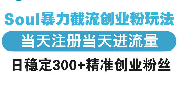 Soul暴力截流创业粉玩法，当天注册当天进流量，日稳定300+精准创业粉丝-梦凌网创