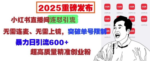 2025重磅发布：小红书直播间连怼引流，无需连麦、无需上镜，突破单号限制，暴力日引流600+-梦凌网创