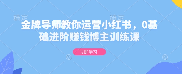 金牌导师教你运营小红书，0基础进阶赚钱博主训练课-梦凌网创