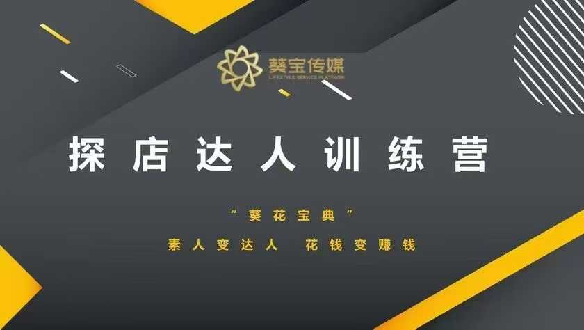 探店达人训练营，素人变达人，花钱变赚钱-梦凌网创