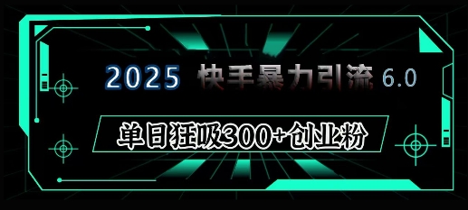 2025年快手6.0保姆级教程震撼来袭，单日狂吸300+精准创业粉-梦凌网创