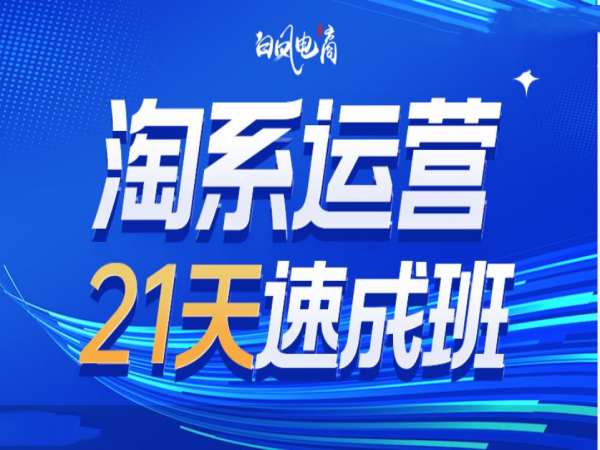 淘系运营21天速成班35期，年前最后一波和2025方向-梦凌网创