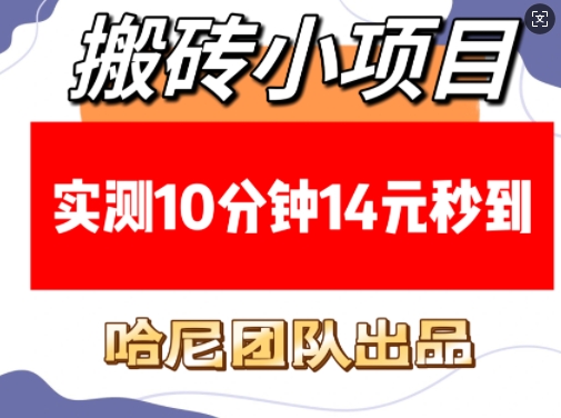 搬砖小项目，实测10分钟14元秒到，每天稳定几张(赠送必看稳定)-梦凌网创