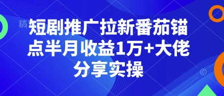 短剧推广拉新番茄锚点半月收益1万+大佬分享实操-梦凌网创