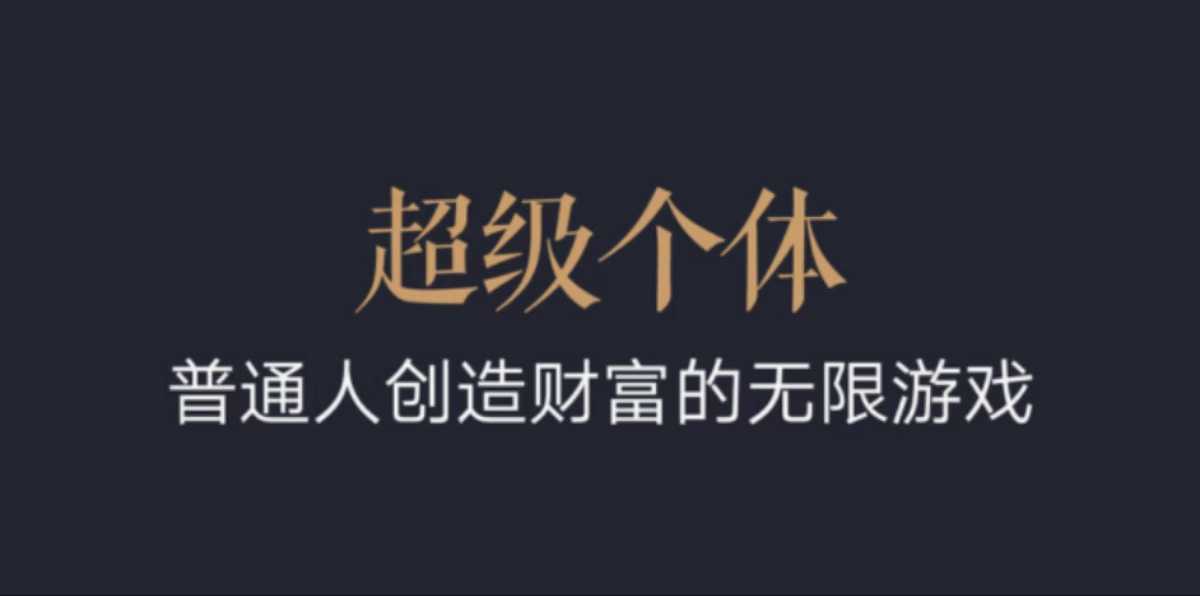 超级个体：2024-2025翻盘指南，普通人创造财富的无限游戏-梦凌网创