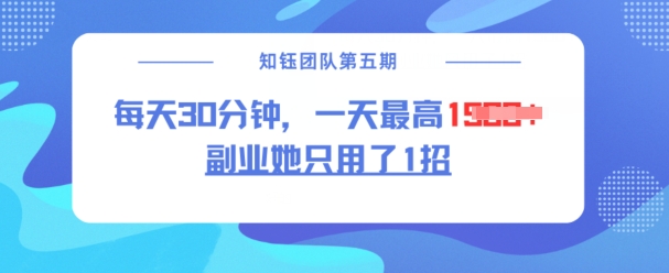 副业她只用了1招，每天30分钟，无脑二创，一天最高1.5k-梦凌网创