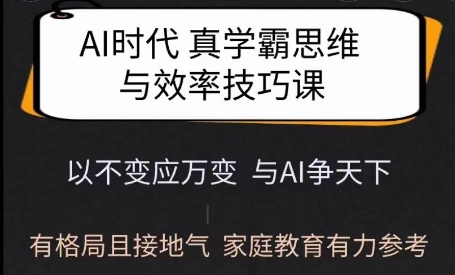 Ai时代真学霸思维与学习方法课，有格局且接地气，家庭教育有力参考-梦凌网创