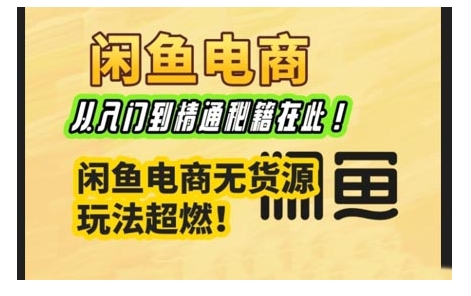 闲鱼电商实战课，从入门到精通秘籍在此，闲鱼电商无货源玩法超燃!-梦凌网创