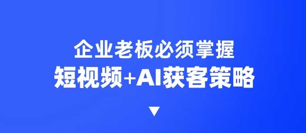 企业短视频AI获客霸屏流量课，6步短视频+AI突围法，3大霸屏抢客策略-梦凌网创
