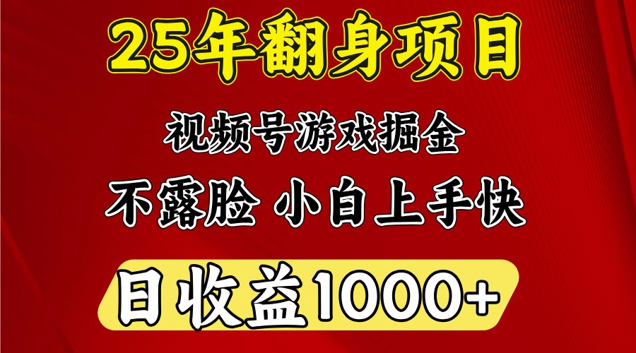 一天收益1000+ 25年开年落地好项目-梦凌网创