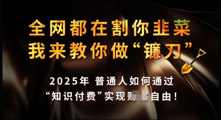 知识付费如何做到月入过W+，2025我来教你做“镰刀”【揭秘】-梦凌网创