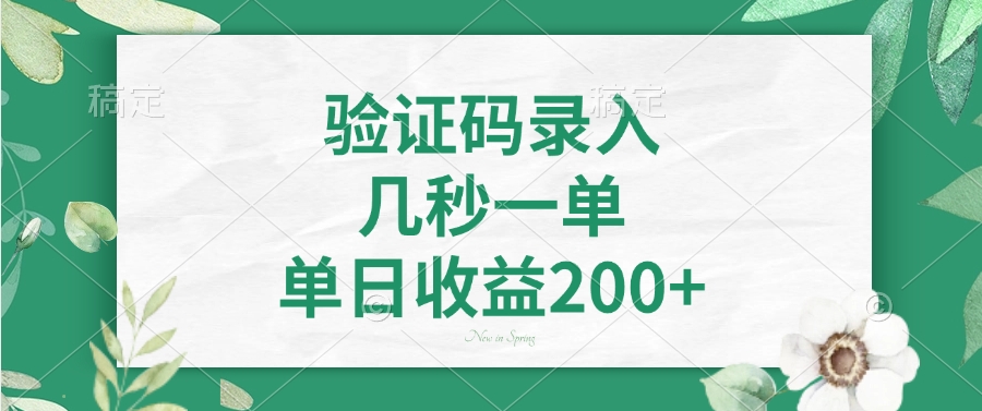 验证码录入，几秒一单，单日收益200+-梦凌网创