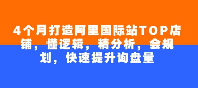 4个月打造阿里国际站TOP店铺，懂逻辑，精分析，会规划，快速提升询盘量-梦凌网创