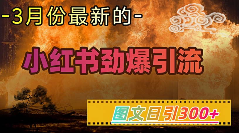 小红书超劲爆引流手段，图文日引300+轻松变现1W-梦凌网创