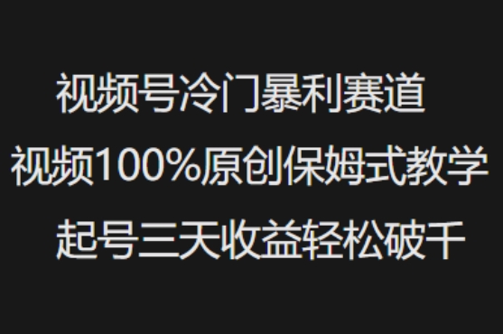 视频号冷门暴利赛道视频100%原创保姆式教学起号三天收益轻松破千-梦凌网创