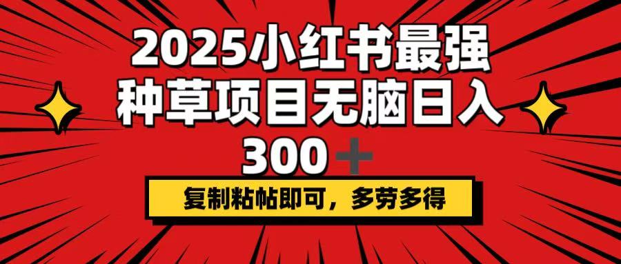 2025小红书最强种草项目，无脑日入300+，复制粘帖即可，多劳多得-梦凌网创