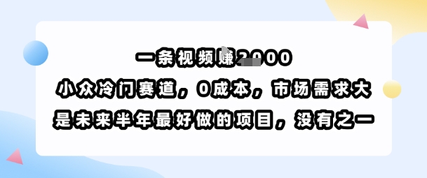 一条视频挣1k，小众冷门赛道，0成本，市场需求大，是未来半年最好做的项目，没有之一-梦凌网创