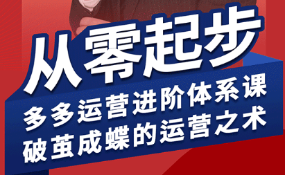 海神·拼多多运营进阶系统课(更新8月)-梦凌网创