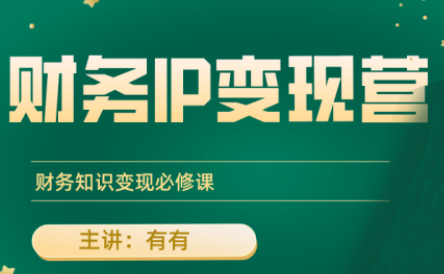 有有老师·财务IP变现营，财务知识变现必修课-梦凌网创