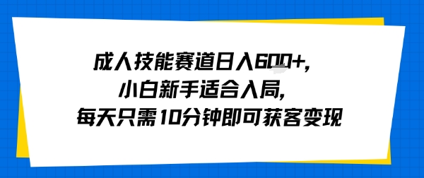 成人技能赛道日入多张，小白新手适合入局，每天只需10分钟即可获客变现-梦凌网创