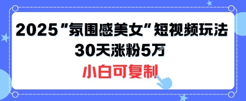 不露脸也能火！2025“氛围感美女”短视频玩法，30天涨粉5W小白可复制-梦凌网创