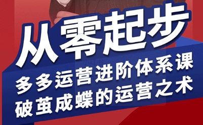 拼多多运营进阶系统课，从零起步，多多运营进阶体系课，破茧成蝶的运营之术-梦凌网创