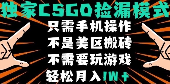 CSGO自动捡漏项目，最新独家玩法，不是美区搬砖，不需要了解和玩游戏，新手小白轻松月入1W+【揭秘】-梦凌网创