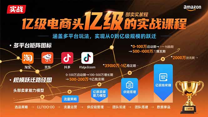 亿级电商头部卖家的实战课程：涵盖多平台玩法，实现从0到亿级规模的跃迁-梦凌网创