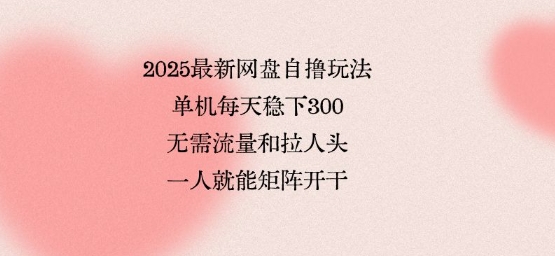 2025最新网盘自撸玩法，单机每天稳下3张，无需流量和拉人头，一个人就可轻松矩阵，全网独一份【揭秘】-梦凌网创