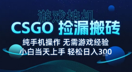 8月最新游戏搬砖，CSGO纯挂G，不需要玩游戏，实现真挂G，月入1W+【揭秘】-梦凌网创