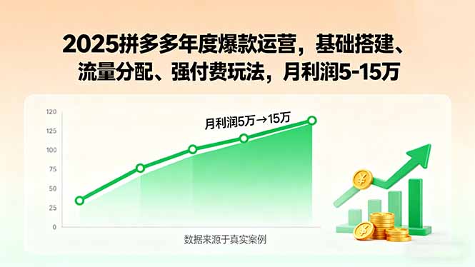 2025拼多多年度爆款运营，基础搭建、流量分配、强付费玩法，月利润5-15万-梦凌网创