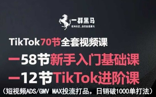 TikTok全套视频课，新手入门+进阶课，短视频ADS-GMV MAX投流打品，日销破1000单打法-梦凌网创