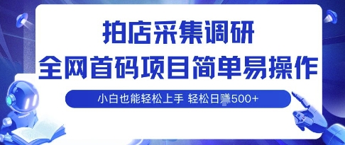 拍店采集调研，全网首码项目，简单易操作， 小白也能轻松上手，多账号操作，轻松日入5张【揭秘】-梦凌网创