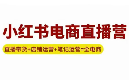 申铭老师·小红书电商直播营(更新)-梦凌网创