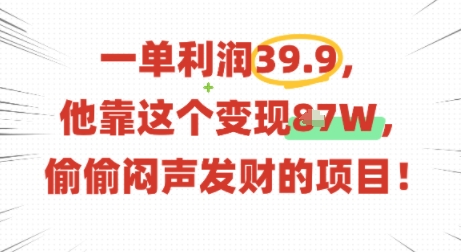 一单利润39.9，有人靠这个变现几十个，偷偷闷声发财的项目-梦凌网创