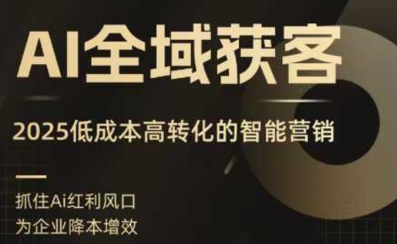 AI全域获客实训营，2025低成本高转化的智能营销，精准找客，高效营销-梦凌网创