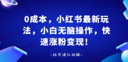 0成本，小红书最新玩法，小白无脑操作，快速涨粉变现-梦凌网创