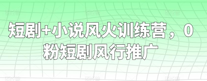 短剧+小说风火训练营，0粉短剧风行推广-梦凌网创