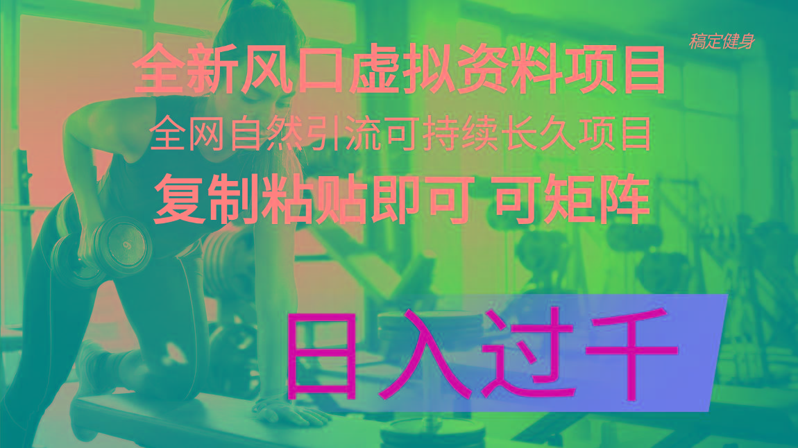 全新风口虚拟资料项目 全网自然引流可持续长久项目 复制粘贴即可可矩阵…-梦凌网创