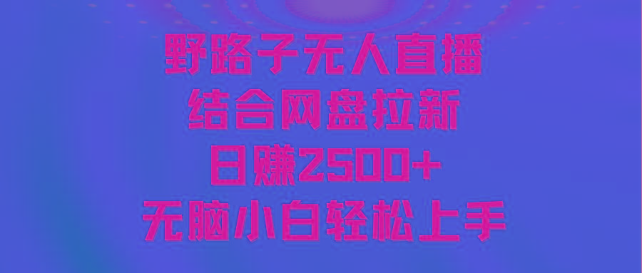 无人直播野路子结合网盘拉新，日赚2500+多平台变现，小白无脑轻松上手操作-梦凌网创