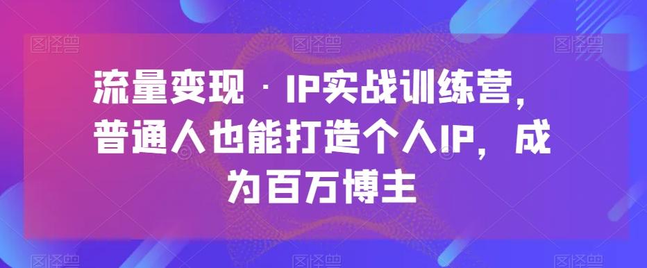流量变现·IP实战训练营，普通人也能打造个人IP，成为百万博主-梦凌网创