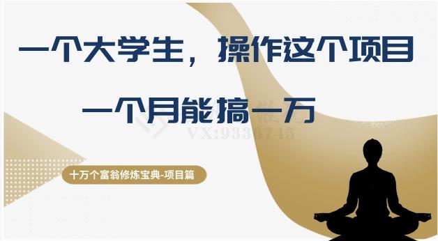 十万个富翁修炼宝典之4.一个大学生操作这个项目，一个月能搞一万-梦凌网创