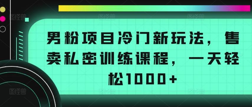 男粉项目冷门新玩法，售卖私密训练课程，一天轻松1000+【揭秘】-梦凌网创