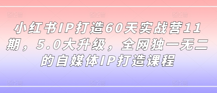 小红书IP打造60天实战营11期，5.0大升级，全网独一无二的自媒体IP打造课程-梦凌网创